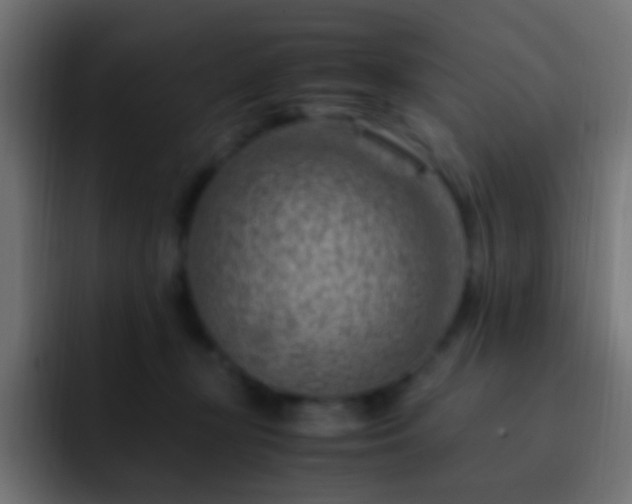 X0000093150367200710031432