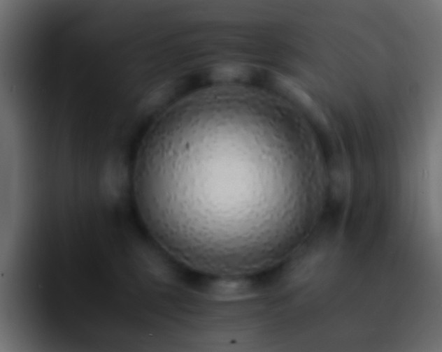 X0000093150375200710031432