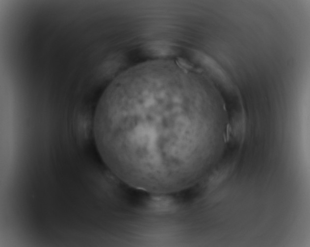 X0000093150376200710031432