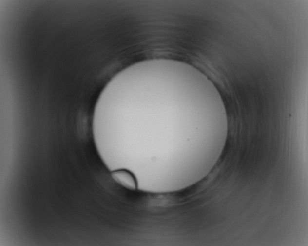 X0000093150378200710031432