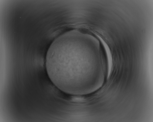 X0000093150380200710031432