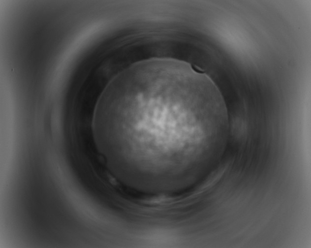 X0000093150383200710031432
