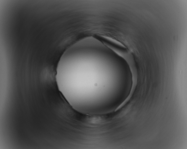 X0000093150384200710031432