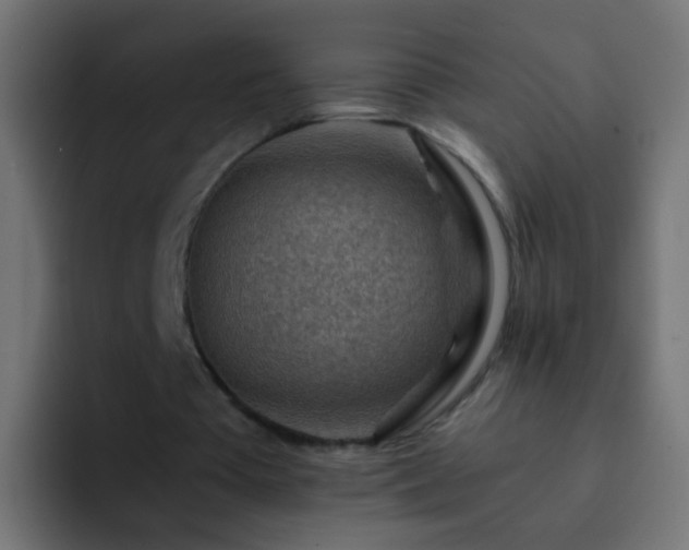 X0000093150385200710031432