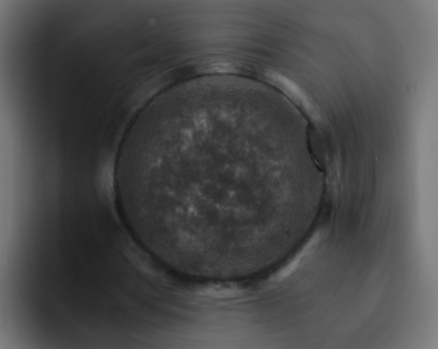 X0000093150386200710031432