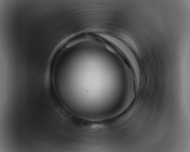 X0000093150388200710031431