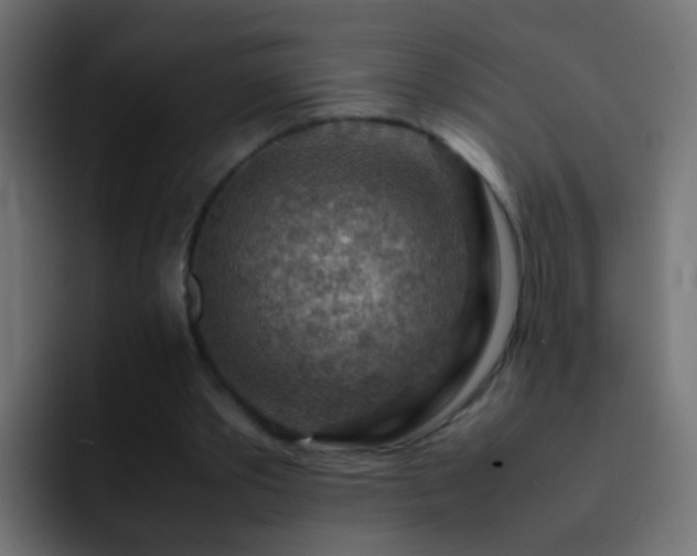 X0000093150389200710031431