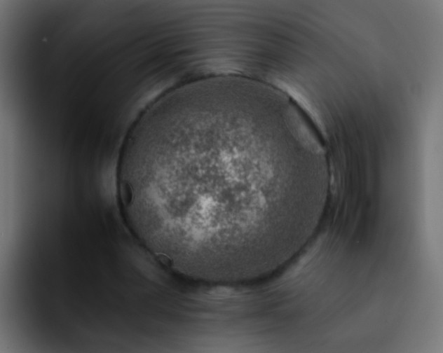 X0000093150390200710031431