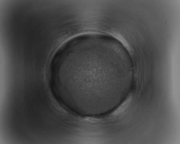 X0000093150393200710031431