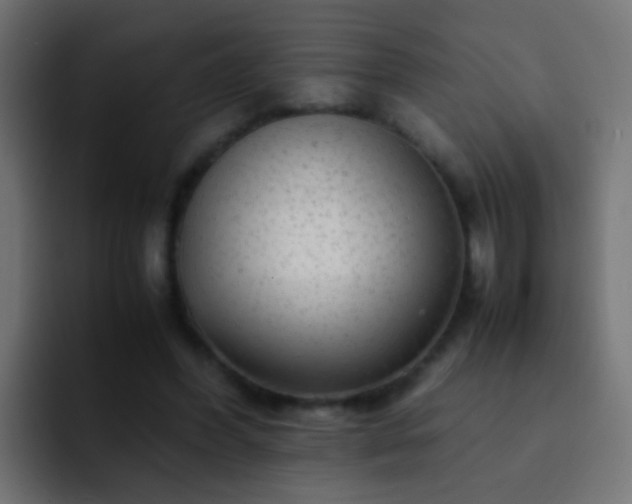 X0000093150396200710031431