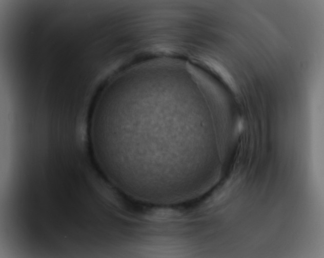X0000093150399200710031431