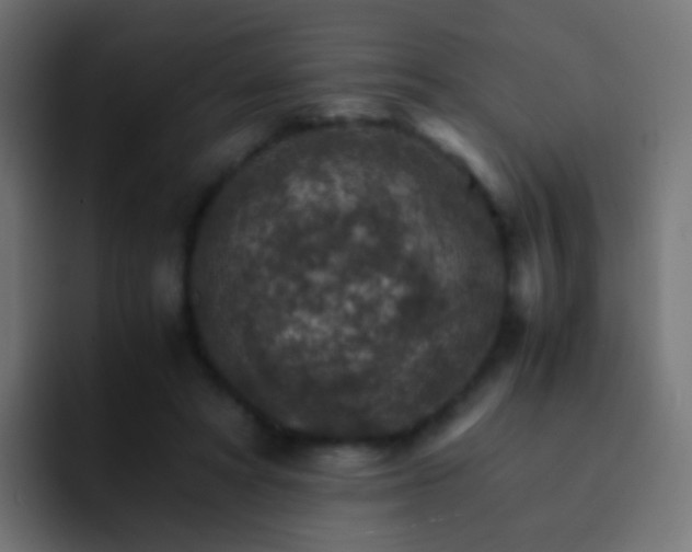 X0000093150402200710031431