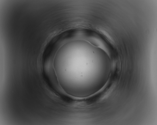 X0000093150403200710031431
