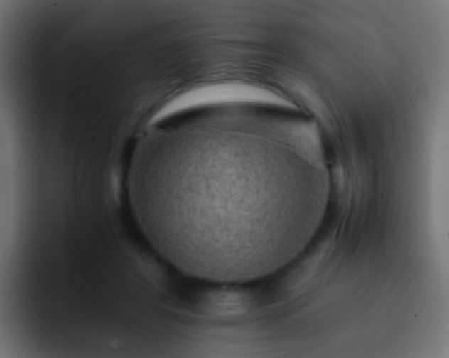 X0000093150404200710031431