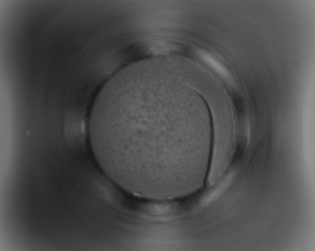 X0000093150405200710031431