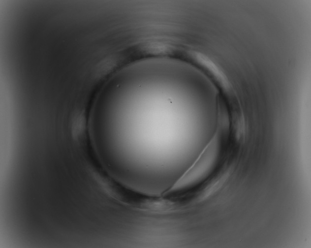 X0000093150407200710031431