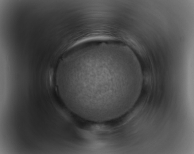 X0000093150408200710031431