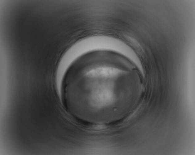 X0000093150409200710031431