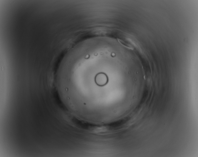 X0000093150411200710031431