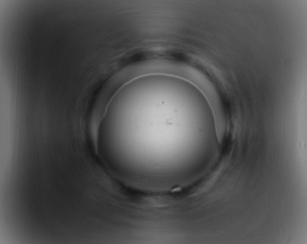 X0000093150417200710031431