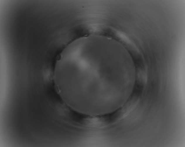 X0000093150419200710031431