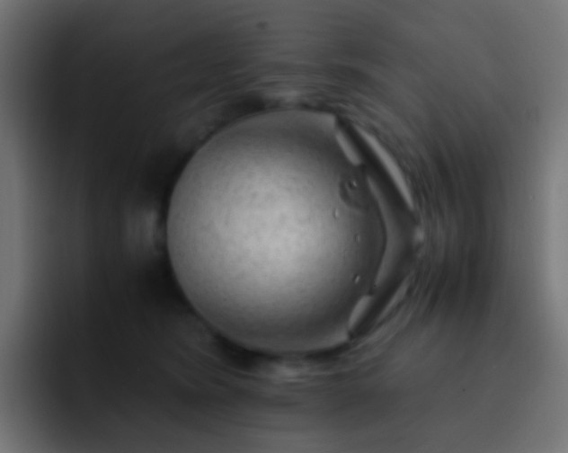 X0000093150420200710031431