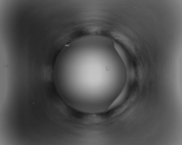 X0000093150421200710031431
