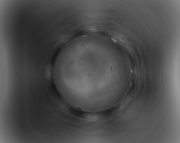 X0000093150423200710031431