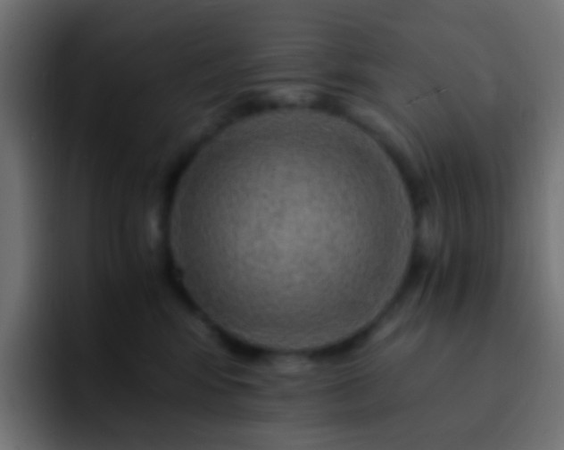 X0000093150424200710031431