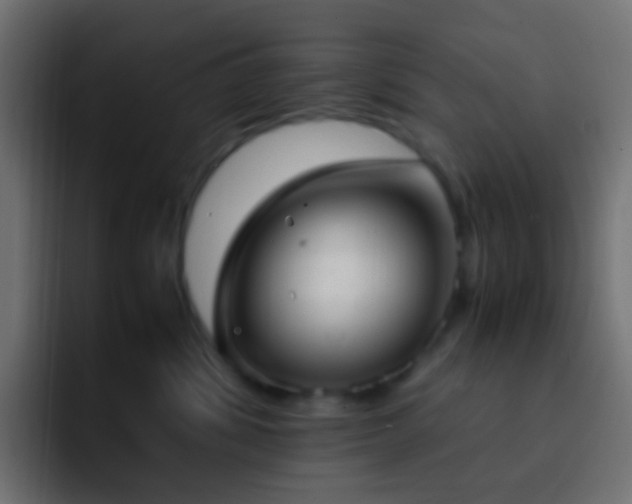 X0000093150428200710031431
