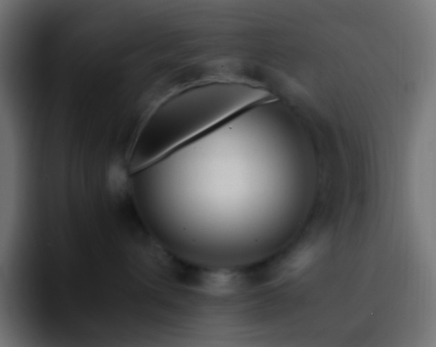 X0000093150432200710031431