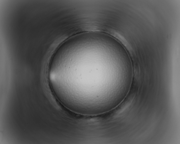 X0000093150433200710031430
