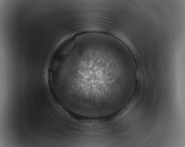 X0000093150434200710031430