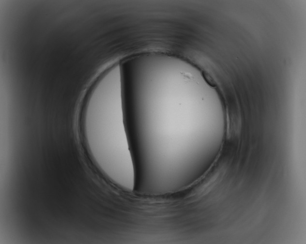 X0000093150435200710031430