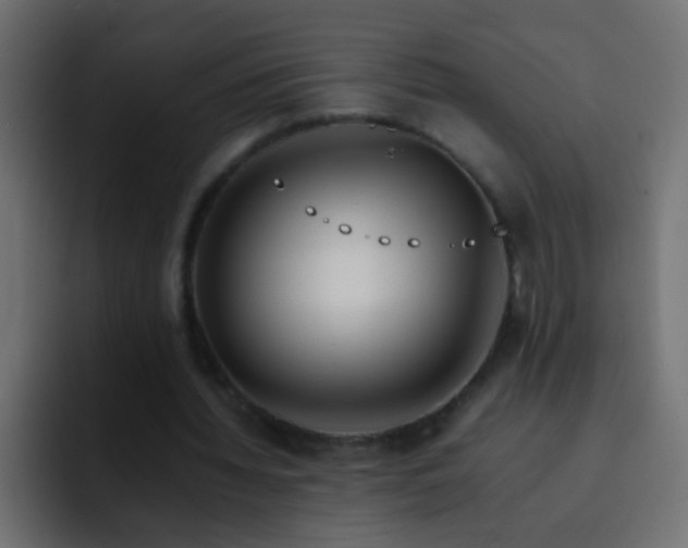 X0000093150436200710031430
