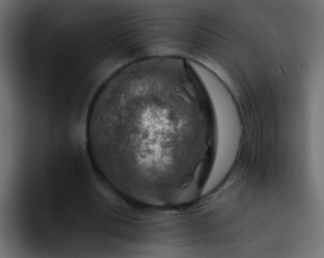 X0000093150438200710031430