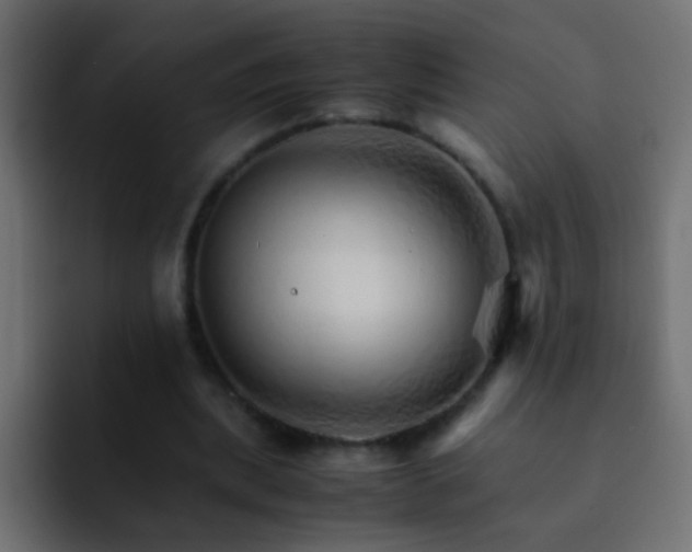 X0000093150439200710031430
