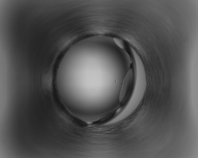 X0000093150440200710031430