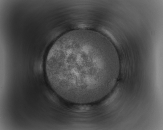 X0000093150443200710031431