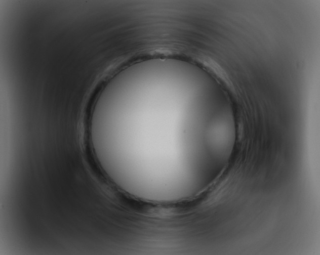 X0000093150444200710031431