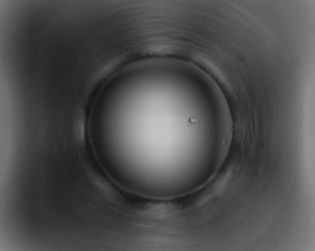 X0000093150446200710031431