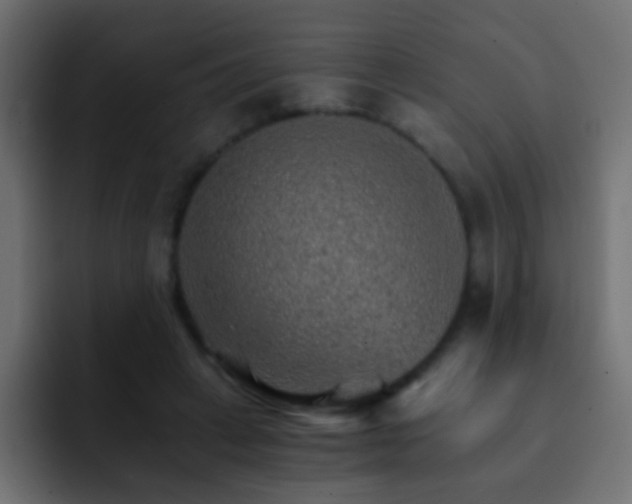 X0000093150449200710031431