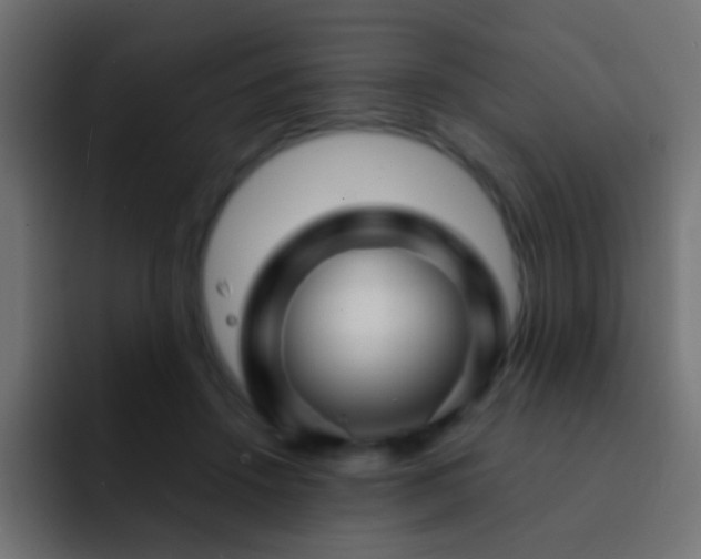 X0000093150456200710031431