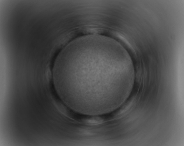 X0000093150459200710031431