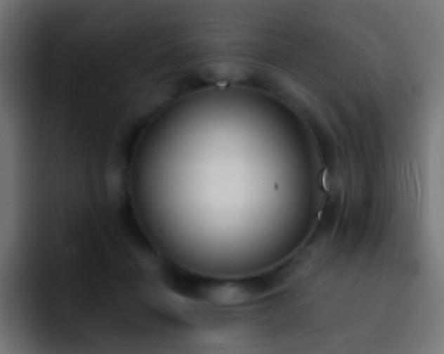 X0000093150460200710031431