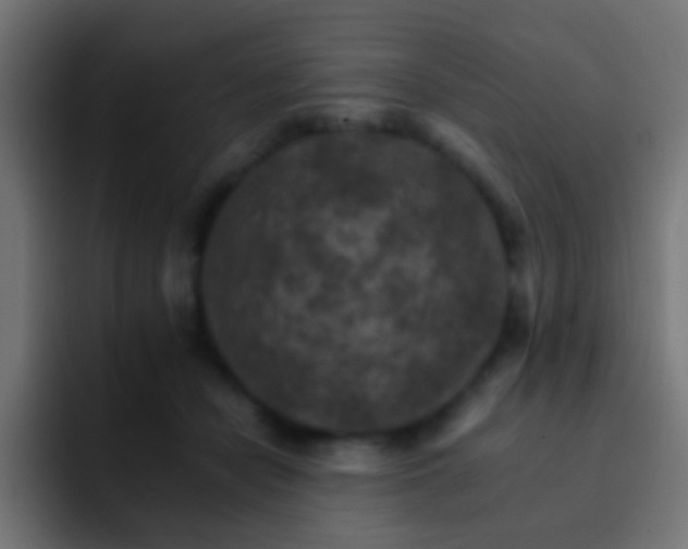 X0000093150462200710031431