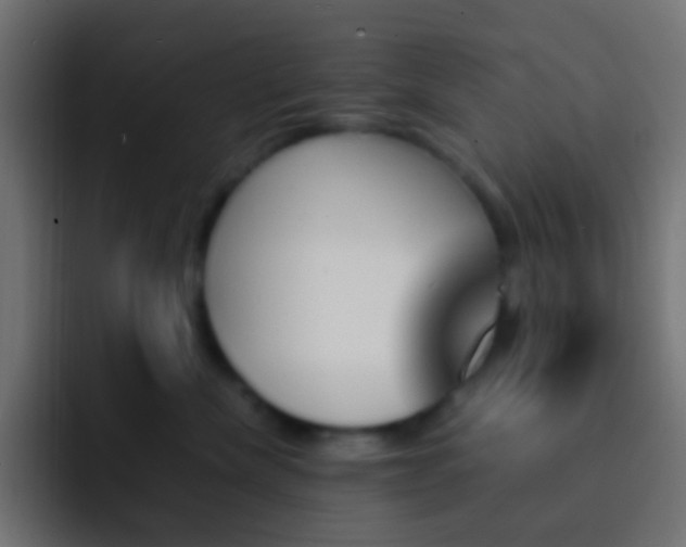 X0000093150476200710031431