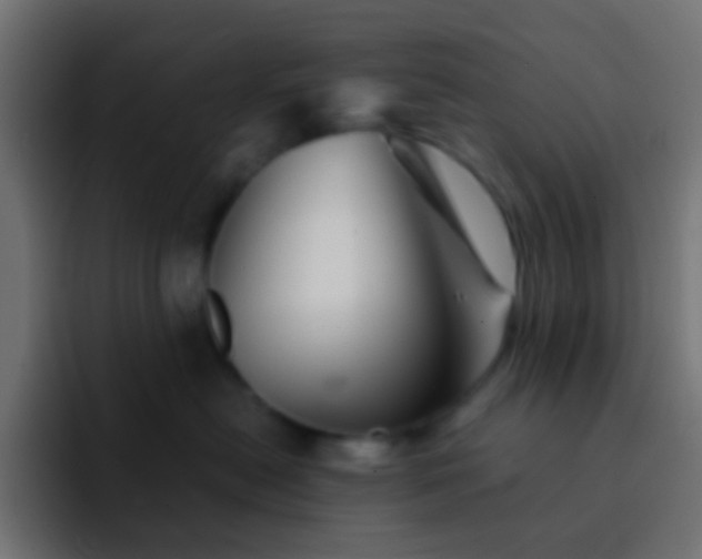 X0000093150478200710031431