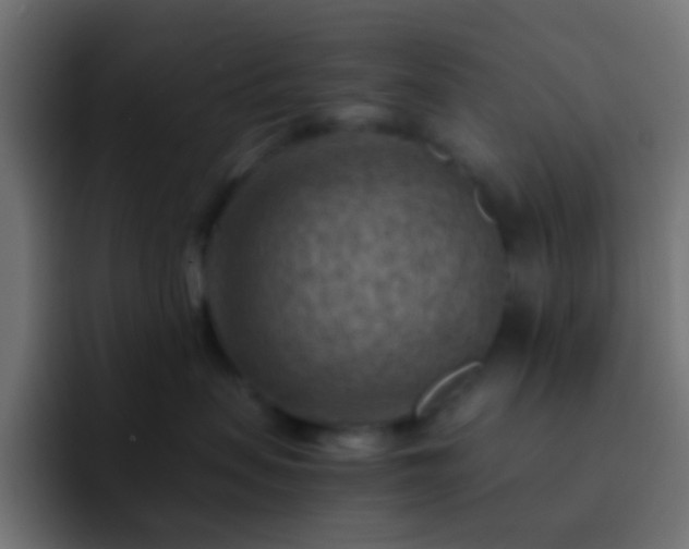 X0000093150479200710031431