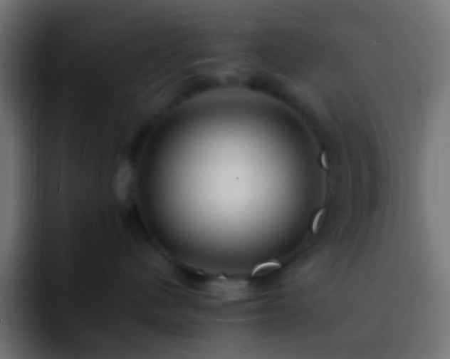 X0000093150480200710031431